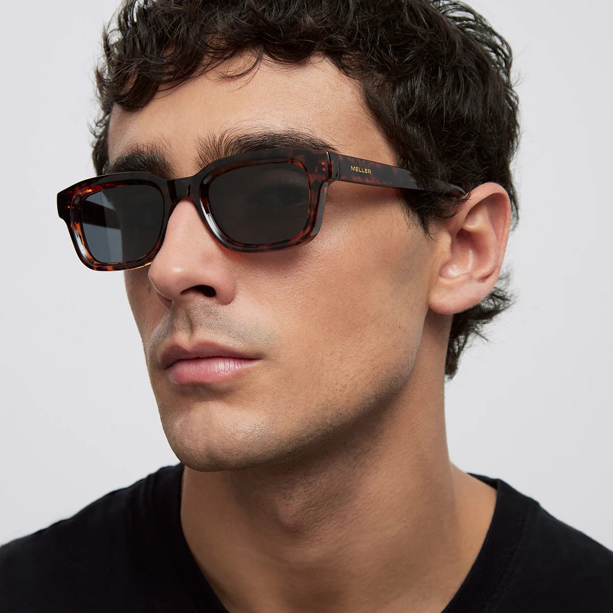 Lentes de Sol - Biko Tigris Carobn