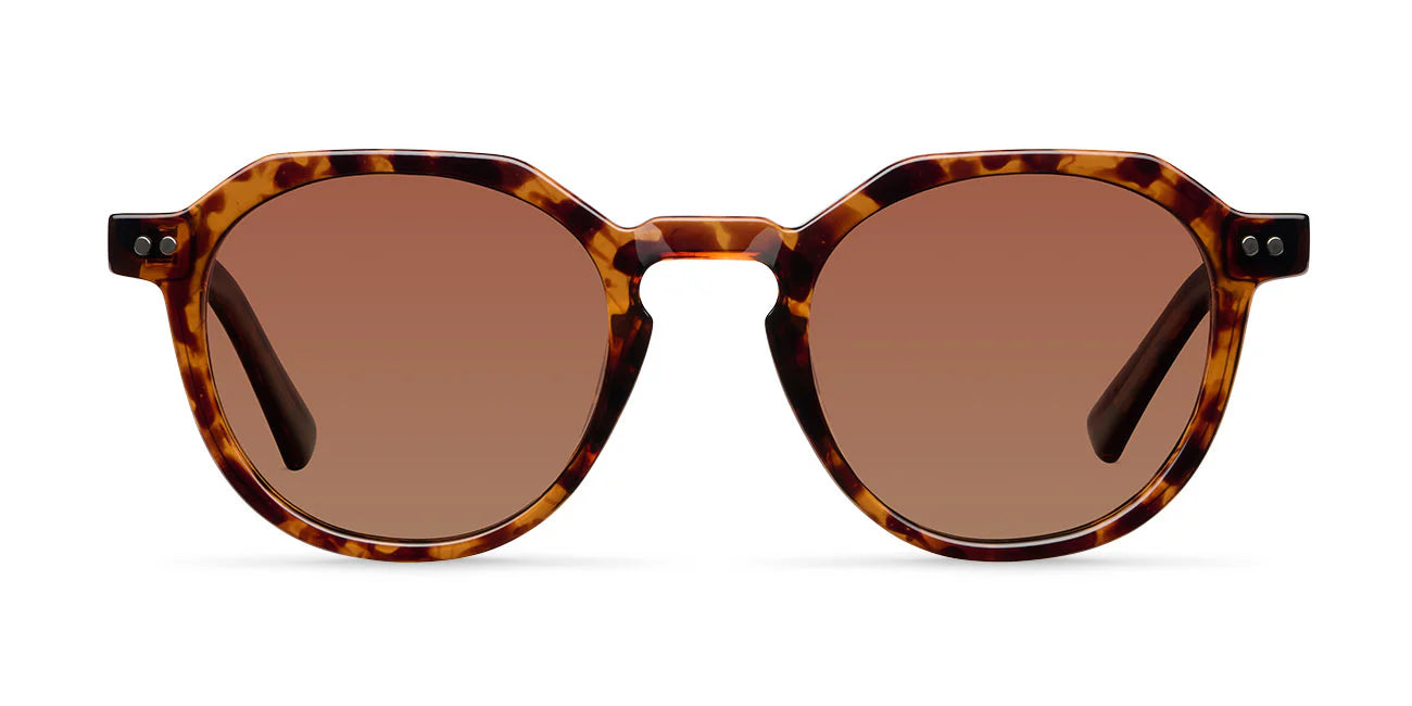 Lentes de Sol - Chauen Tigris Brown