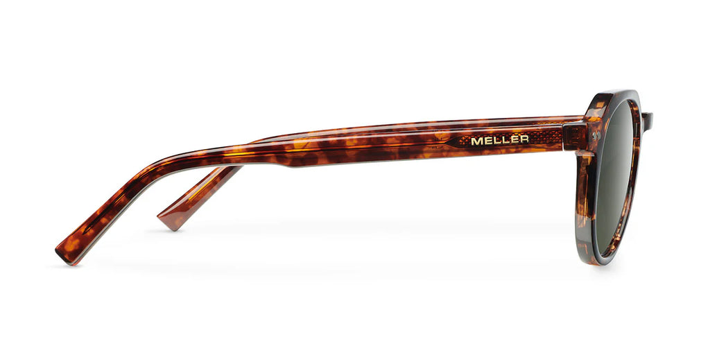 Lentes de Sol - Chauen Tigris Olive