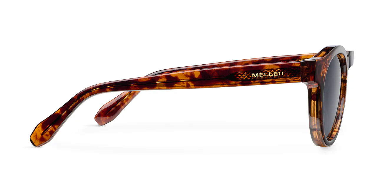 Lentes de Sol - Dayo Tigris Carbon