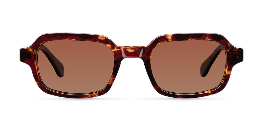 Lentes de Sol - Dotia Tigris Brown