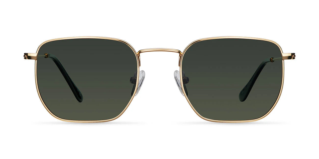 Lentes de Sol - Emin Gold Olive
