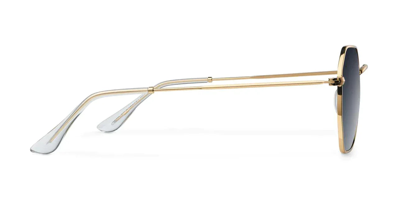 Lentes De Sol - Endo Gold Carbon