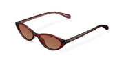 Lentes de Sol - Oza Maroon Brown