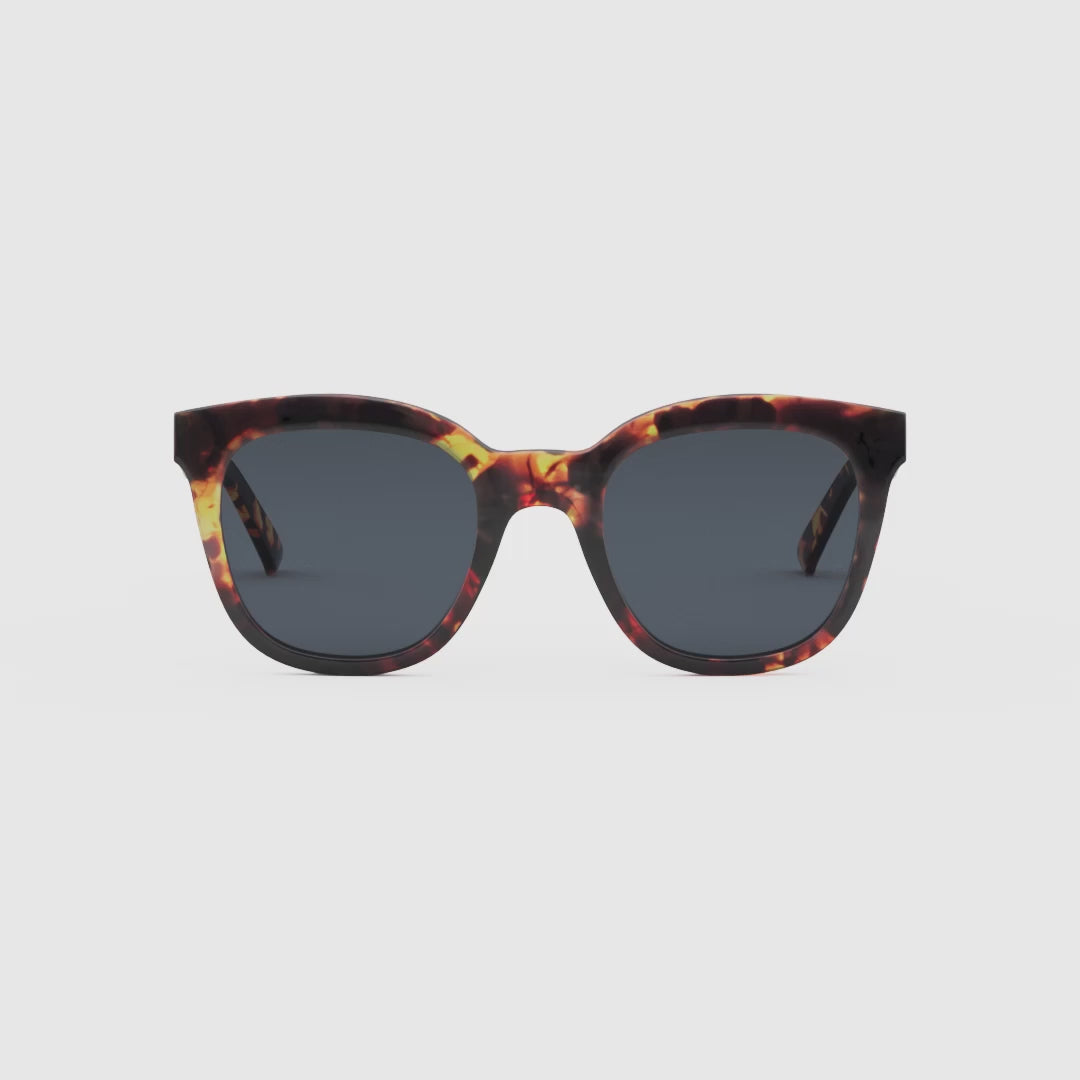 Lentes de Sol - Mahé Tigris Carbon