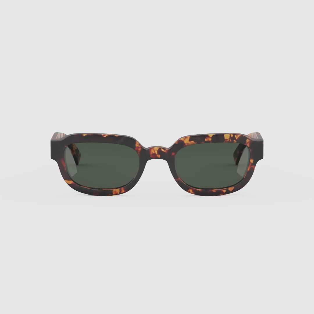 Lentes de Sol - Jamil Tigris Olive