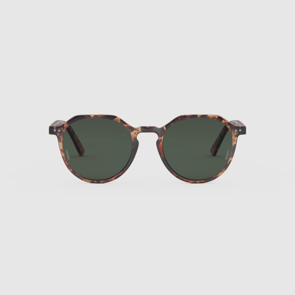 Lentes de Sol - Chauen Tigris Olive