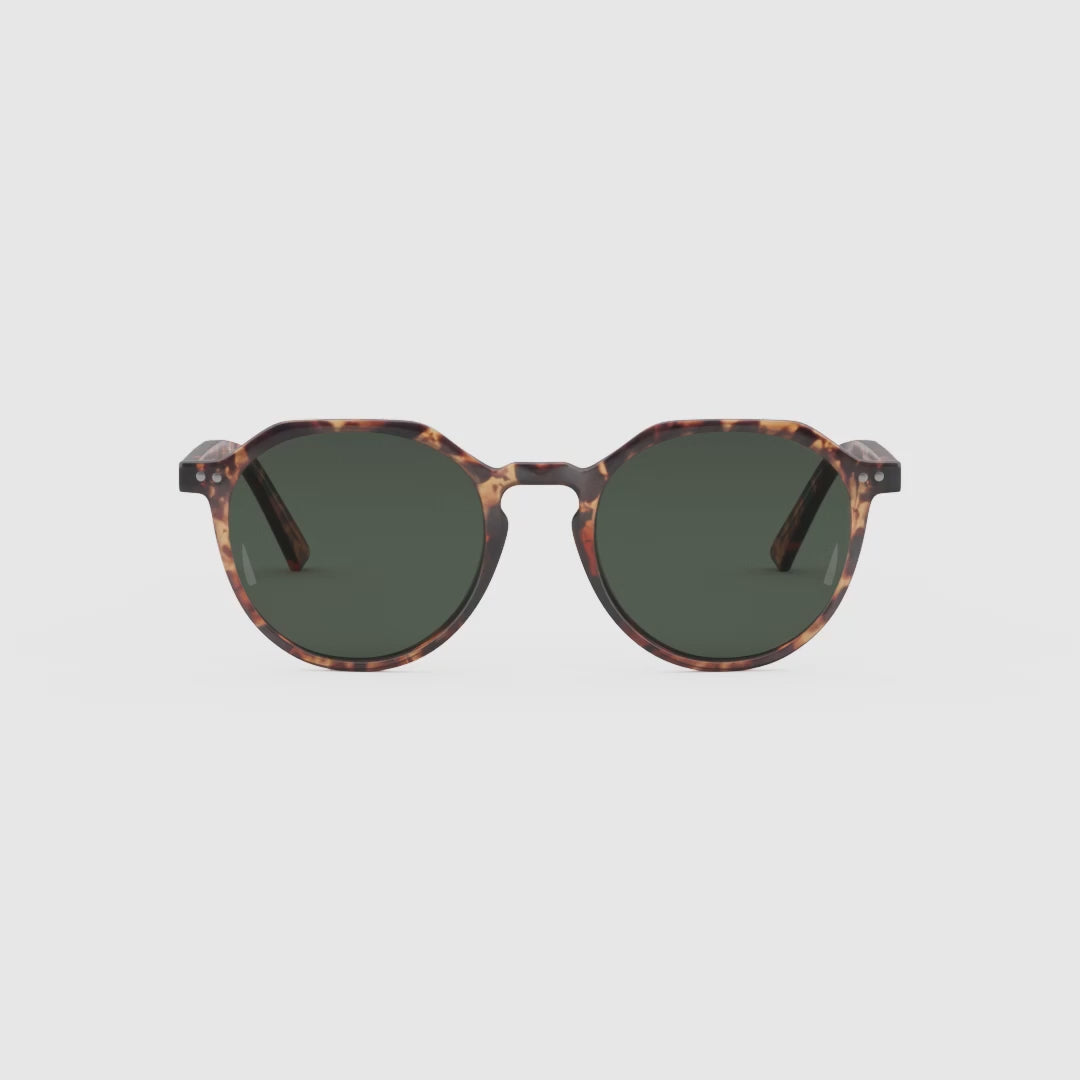Lentes de Sol - Chauen Tigris Olive