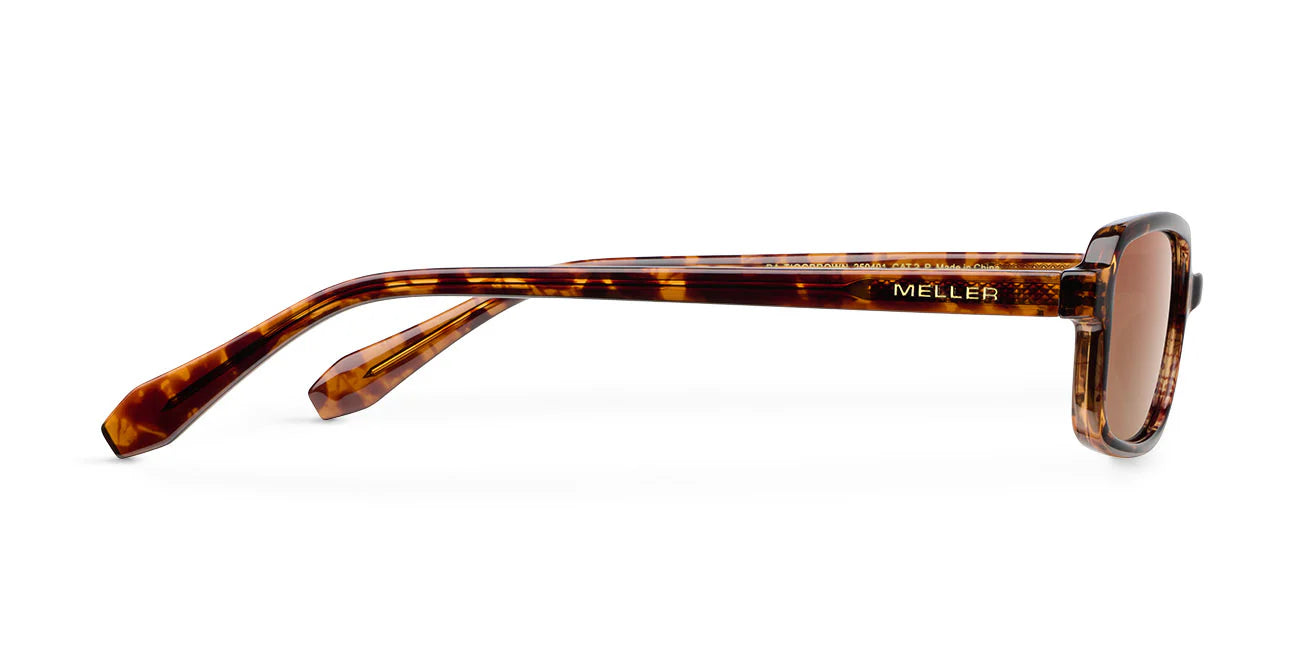 Lentes de Sol - Razi Tigris Brown