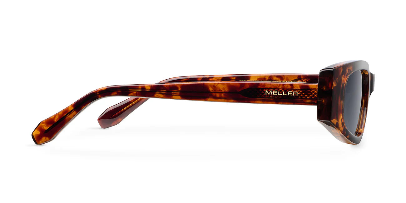 Lentes de Sol - Safi Tigris Carbon