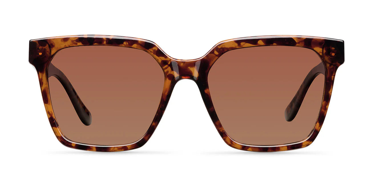 Lentes de Sol - Shaira Tigris Brown